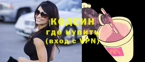 прущий лед Богданович
