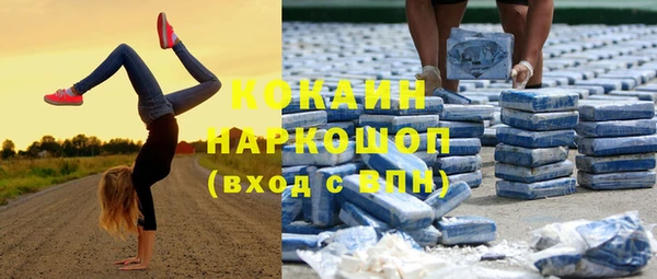 прущий лед Богданович