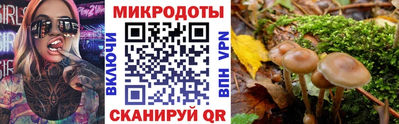 где купить   Бобров  omg вход  Псилоцибиновые грибы ЛСД 